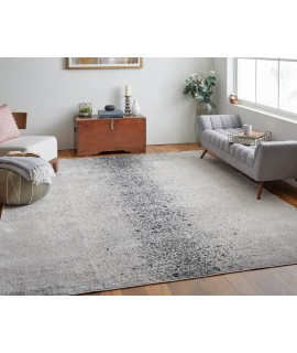 Feizy Astra Rug 3'-11 x 6' Rectangle 39L2F IVORY/GRAY