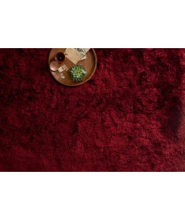 Loloi Allure Shag AQ-01 GARNET Area Rug 3 ft. 6 in. X 5 ft. 6 in. Rectangle