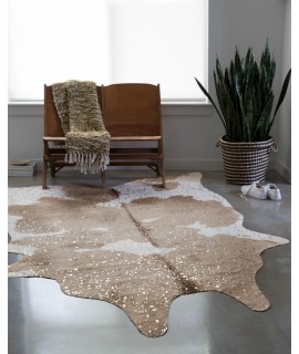 Loloi Bryce BZ-06 TAUPE / CHAMPAGNE Area Rug 3 ft. 10 in. X 5 ft. Rectangle