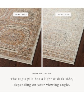 Loloi Sonnet SNN-06 Apricot / Multi Area Rug 11 ft. 6 in. X 15 ft. Rectangle