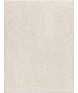 Surya Alfombra AFB2301 Light Beige Area Rug 2 ft. 3 in. X 3 ft. 9 in. Rectangle