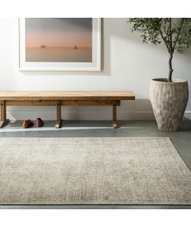 Surya Becki Owens Margot BOSC2302 Light Grey Taupe Area Rug 3 ft. 11 in. X 5 ft. 7 in. Rectangle