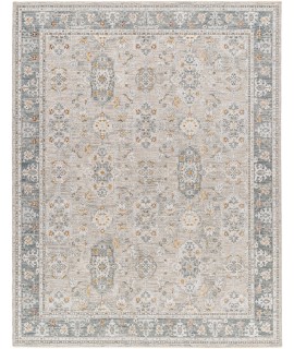 Surya Dresden DRE2325 Taupe Light Grey Area Rug 6 ft. 7 in. X 9 ft. 6 in. Rectangle
