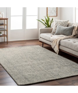 Surya Helen HLE2303 Charcoal Light Gray Area Rug 5 ft. X 7 ft. 6 in. Rectangle