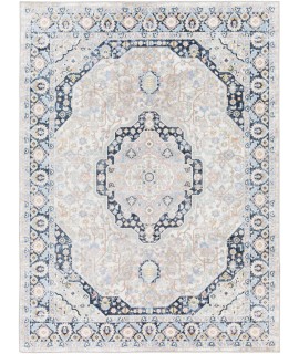 Surya Lavadora LVR2352 Light Grey Taupe Area Rug 7 ft. 10 in. X 10 ft. Rectangle