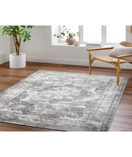 Surya Monte Carlo MNC2351 Light Grey Taupe Area Rug 8 ft. 10 in. X 12 ft. Rectangle