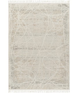 Surya Rudy RDY2303 Light Grey Taupe Area Rug 7 ft. 10 in. X 10 ft. Rectangle