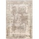 Surya Solar SOR2317 Cream Taupe Area Rug 7 ft. 6 in. X 11 ft. 2 in. Rectangle