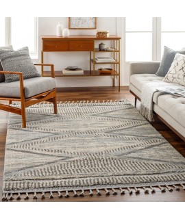 Surya Sousse SUS2300 Gray Light Beige Area Rug 5 ft. 6 in. X 7 ft. 3 in. Rectangle